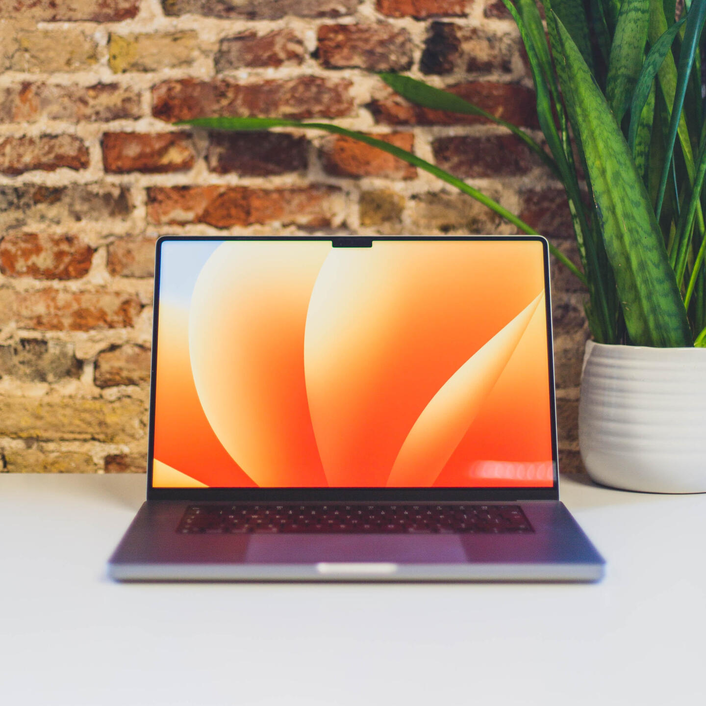 A photo of a MacBook Pro on a desk. In the background you can see a brick wall and a house plant.